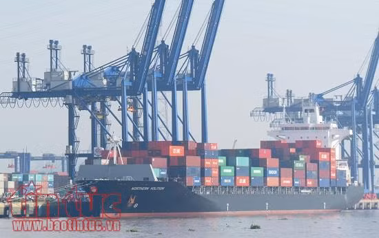 'Dở khóc dở cười' với hàng ngàn container phế liệu nằm cảng ảnh 1
