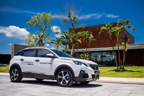 Thị trường ô tô nửa đầu năm 2018: Peugeot vượt lên trong phân khúc SUV/CUV châu Âu ảnh 2