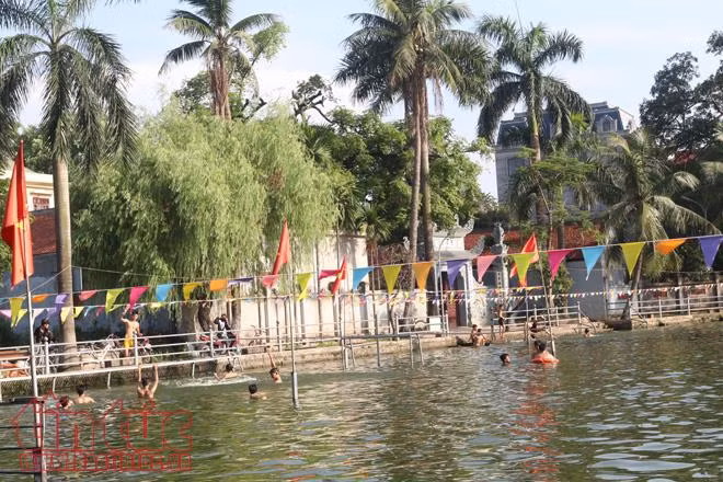 Cải tạo ao làng thành 'bể bơi' ảnh 3