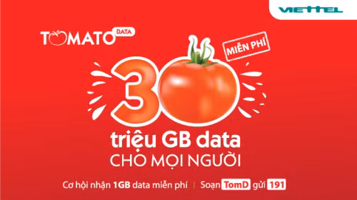 Viettel tặng khách hàng 30 triệu GB data ảnh 1