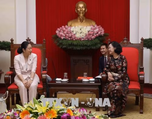 Trưởng Ban Dân vận Trung ương tiếp Đoàn nữ nghị sĩ Nhật Bản ảnh 1
