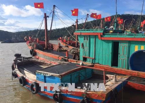 Nghệ An khẩn trương tìm tàu cá và 17 ngư dân mất liên lạc ảnh 1