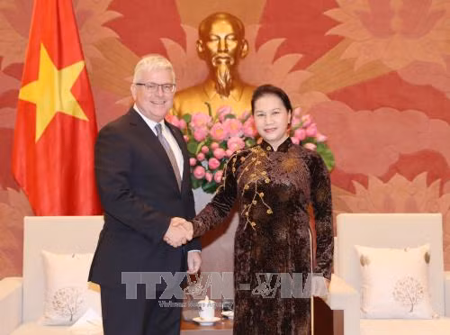 Chủ tịch Quốc hội Nguyễn Thị Kim Ngân tiếp Đại sứ Australia ảnh 1