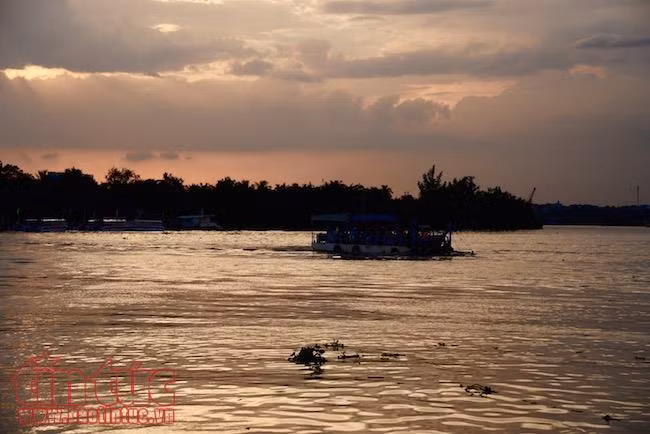 Khám phá tuyến buýt đường sông đầu tiên ở TP Hồ Chí Minh ảnh 17