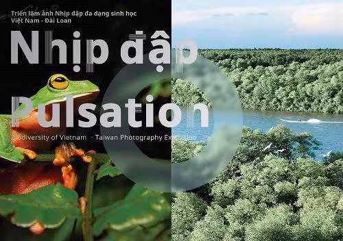 Triển lãm ‘Nhịp đập đa dạng sinh học Việt Nam- Đài Loan’ ảnh 1