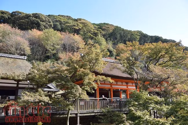 Thăm ngôi chùa nổi tiếng nhất cố đô Kyoto ảnh 3