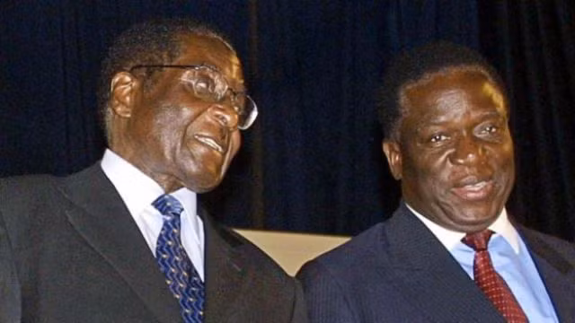 Chân dung nhân vật 'cá sấu' dự kiến trở thành tân Tổng thống Zimbabwe ảnh 3