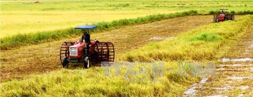 Kế hoạch cơ cấu lại ngành nông nghiệp ảnh 1