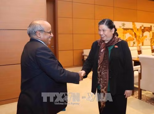 Phó Chủ tịch Thường trực Quốc hội Tòng Thị Phóng tiếp Trưởng đại diện Unicef tại Việt Nam ảnh 1