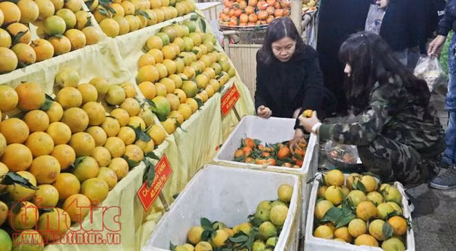 Đến Royal City thưởng thức hàng ngàn đặc sản vùng miền ảnh 12