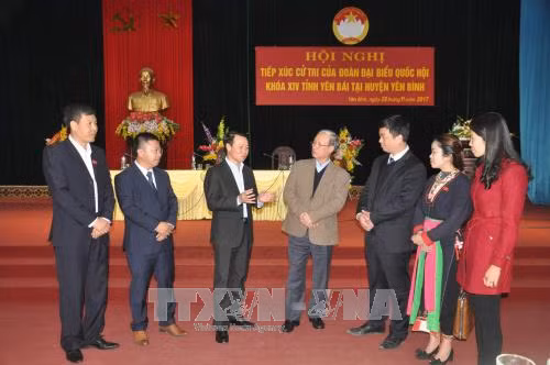 Đoàn đại biểu Quốc hội các địa phương tiếp xúc cử tri ảnh 1