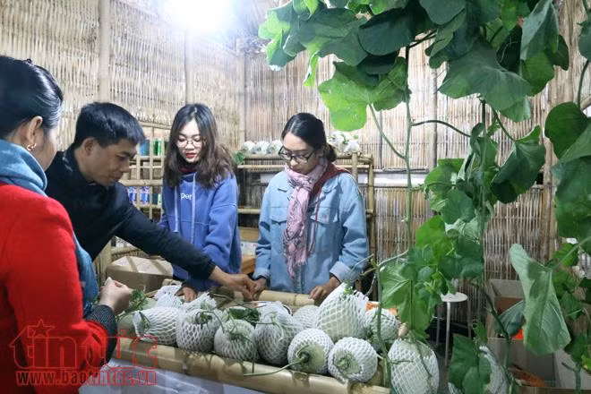 Đến Royal City thưởng thức hàng ngàn đặc sản vùng miền ảnh 8