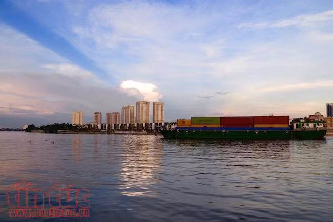 Khám phá tuyến buýt đường sông đầu tiên ở TP Hồ Chí Minh ảnh 13