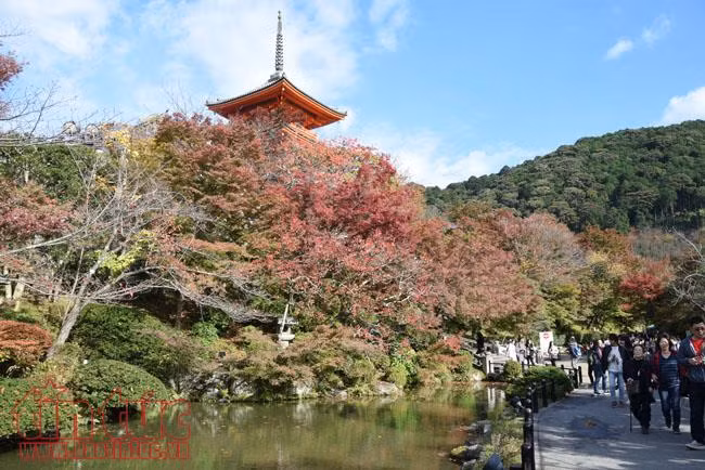 Thăm ngôi chùa nổi tiếng nhất cố đô Kyoto ảnh 6