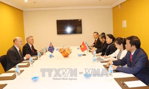 Chủ tịch Quốc hội Nguyễn Thị Kim Ngân tiếp Chủ tịch Hội hữu nghị Australia - Việt Nam ảnh 1