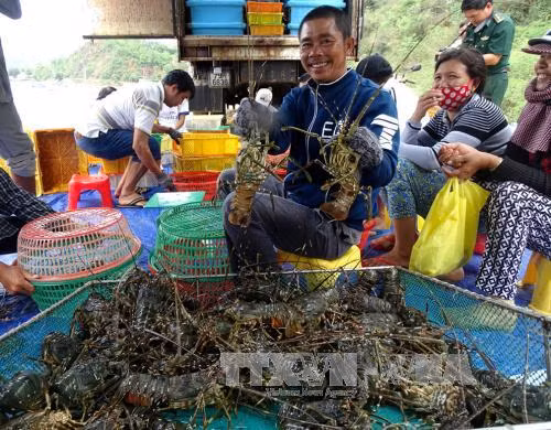 Kế hoạch cơ cấu lại ngành nông nghiệp ảnh 3