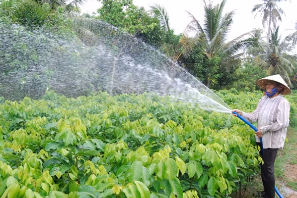 Liên kết phát triển các tỉnh Duyên hải phía Đông đồng bằng sông Cửu Long ảnh 1