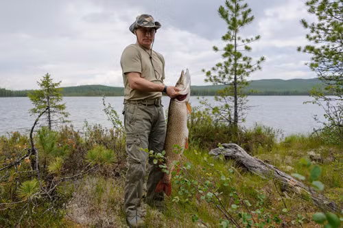 Putin trổ tài câu cá chó 21kg ảnh 5