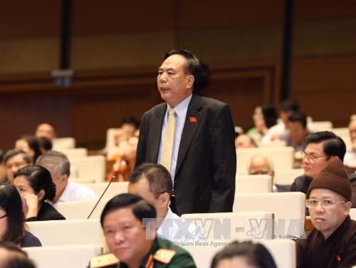 Phát huy hơn nữa vai trò của các ủy ban Quốc hội ảnh 1