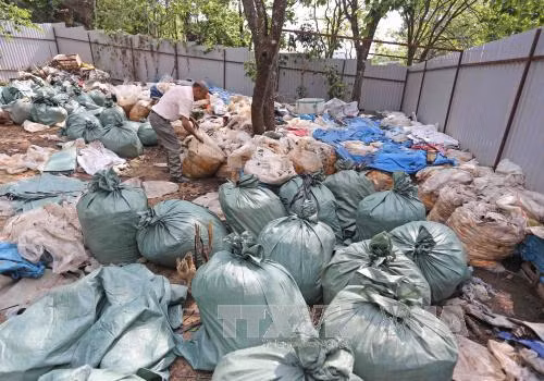 Thu giữ hơn 10 tấn măng ngâm ủ chưa rõ nguồn gốc ảnh 1