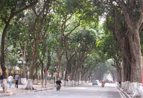 Nắng trải khắp cả nước ảnh 1