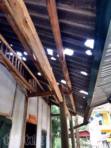 Mưa đá to kỷ lục tàn phá Tuyên Quang ảnh 3