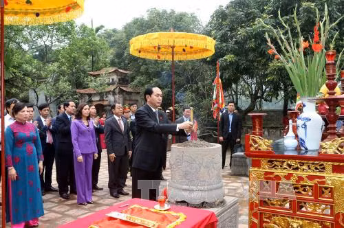 Chủ tịch nước thăm, làm việc tại Ninh Bình ảnh 1