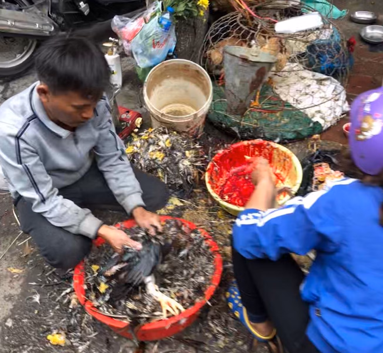 Chú thích ảnh