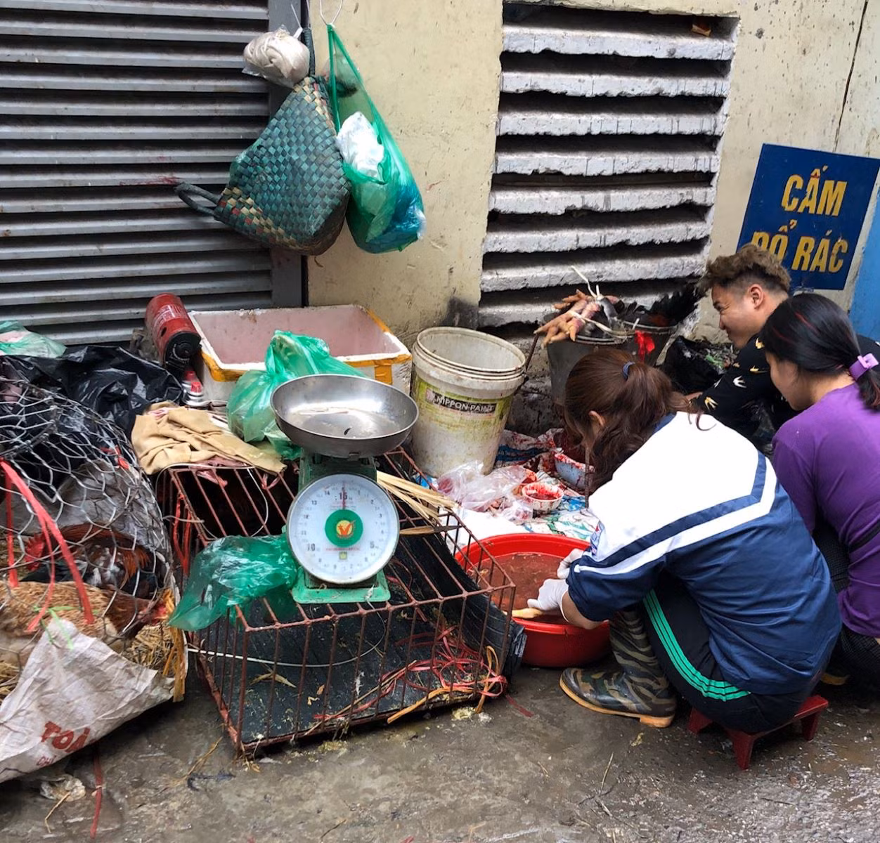 Chú thích ảnh