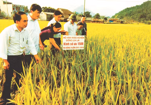 Đồng hành với sự nghiệp phát triển nông nghiệp, nông thôn Hà Giang ảnh 1