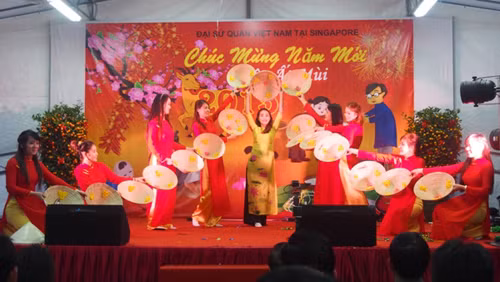 Tết Cộng đồng thắm đượm tình dân tộc tại Singapore ảnh 2