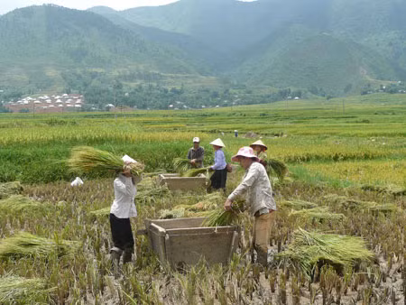 Khơi dậy sự đồng lòng của nhân dân ảnh 2