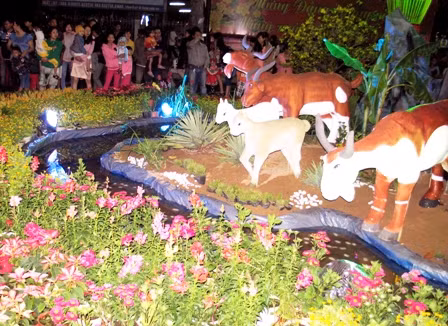 Hoa cảnh nườm nượp đổ về thành phố ảnh 6
