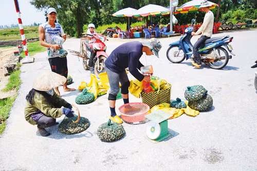 Trên vùng biển địa đầu Tổ Quốc ảnh 4