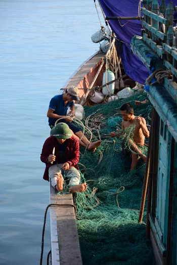 Trên vùng biển địa đầu Tổ Quốc ảnh 5