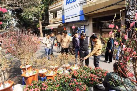 Vùng hoa Hà Nội ngày giáp Tết ảnh 1