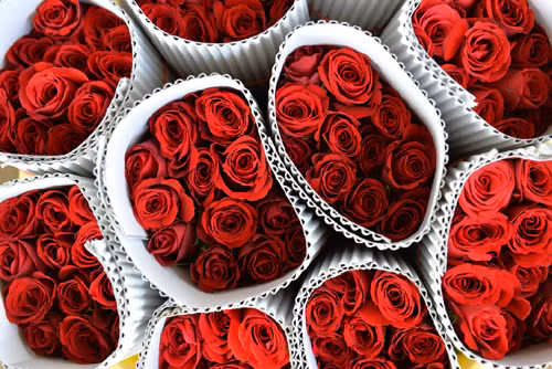 Hậu Valentine - cơ hội cho dịch vụ du lịch độc thân ảnh 1