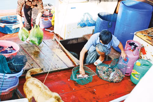 Trên vùng biển địa đầu Tổ Quốc ảnh 2