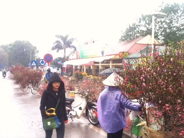 Quất, đào xuống phố ảnh 10