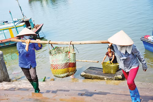 Trên vùng biển địa đầu Tổ Quốc ảnh 3