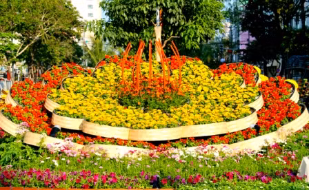 Đường hoa Hàm Nghi trước giờ khai mạc ảnh 8