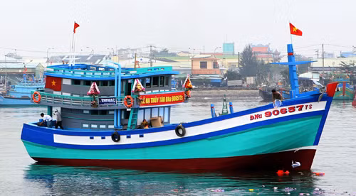 Những 'cột mốc sống' kiên cường trên biển ảnh 3