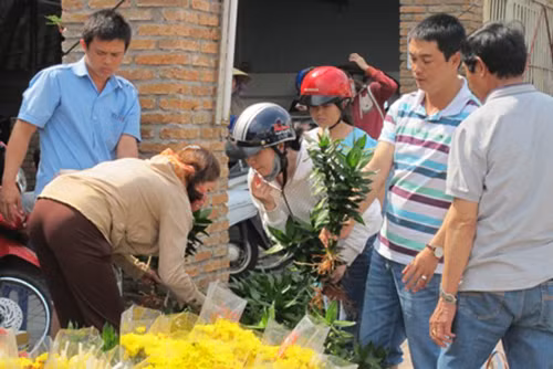 TP Hồ Chí Minh: 'Nóng' thị trường hoa quả trưng Tết ảnh 3