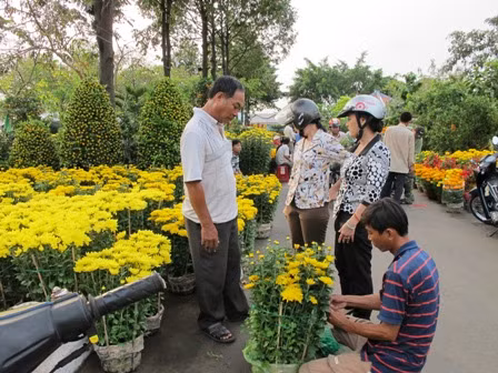 Nhiều loại hoa khoe sắc tại Hội hoa Xuân TP Hồ Chí Minh ảnh 10