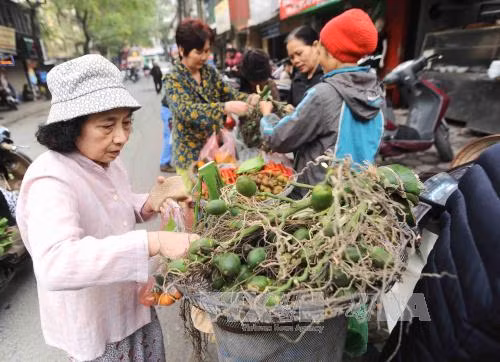 Hà Nội đón năm mới Ất Mùi với niềm tin và hy vọng ảnh 1