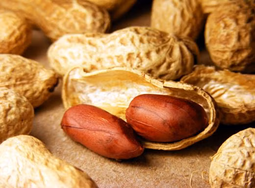 Việt Nam sẽ tạm ngừng nhập khẩu lạc từ Ấn Độ ảnh 1