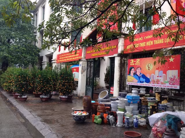 Quất, đào xuống phố ảnh 7
