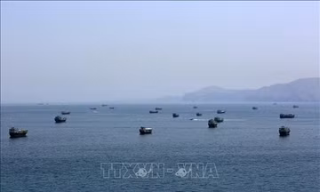 Điểm tin kinh tế thế giới nổi bật ngày 15/10/2026