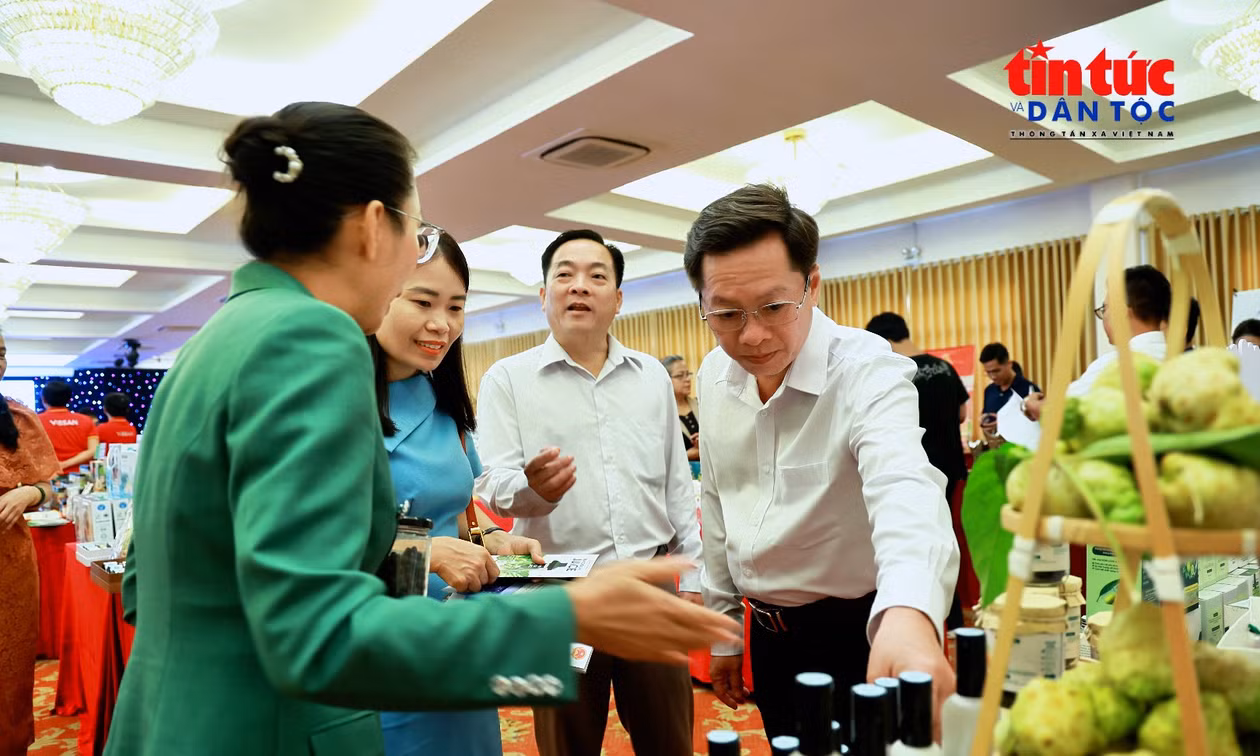 TP Hồ Chí Minh đánh giá, phân hạng sản phẩm OCOP đợt 2 năm 2026.