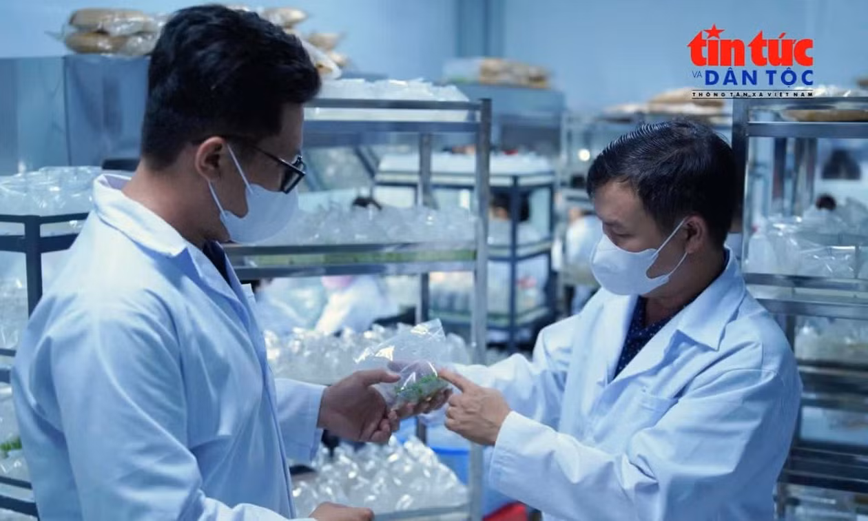 Kết nối nguồn lực khoa học để thúc đẩy phát triển TP Hồ Chí Minh